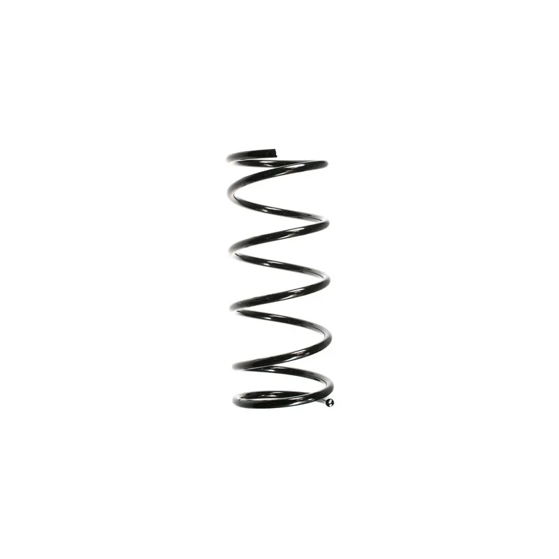 Ressort de suspension SPIDAN 55337