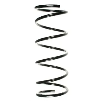 Ressort de suspension SPIDAN 55338