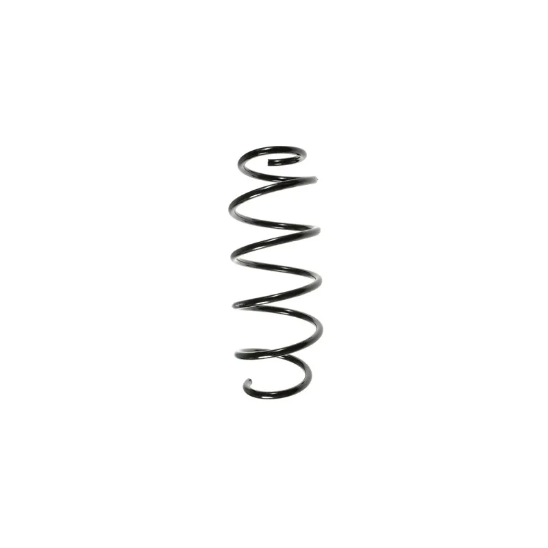 Ressort de suspension SPIDAN 55339