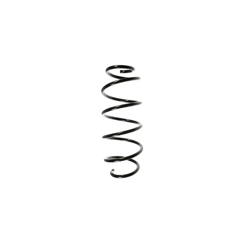 Ressort de suspension SPIDAN 55340