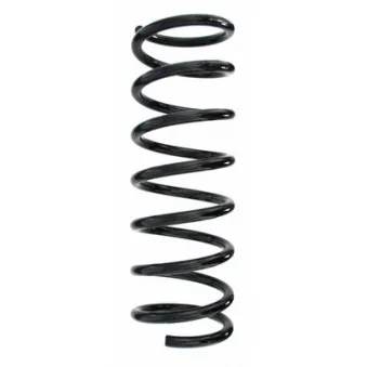 Ressort de suspension SPIDAN 55343