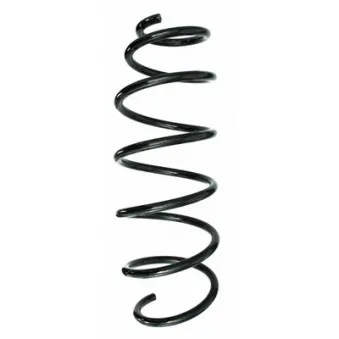 Ressort de suspension SPIDAN 55347