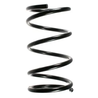 Ressort de suspension SPIDAN 55348