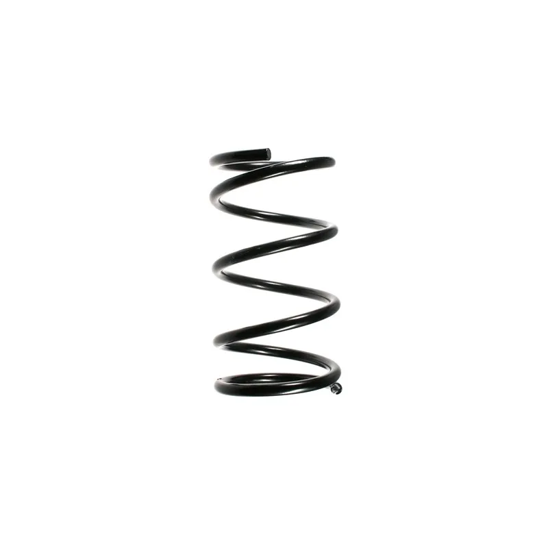 Ressort de suspension SPIDAN 55348