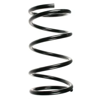 Ressort de suspension SPIDAN 55349