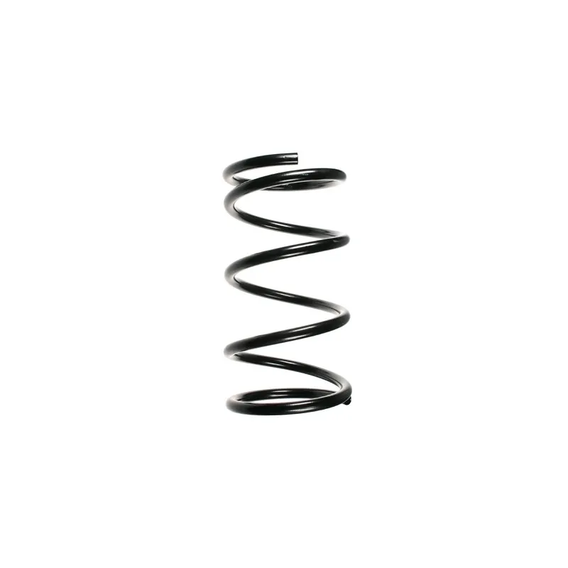 Ressort de suspension SPIDAN 55349