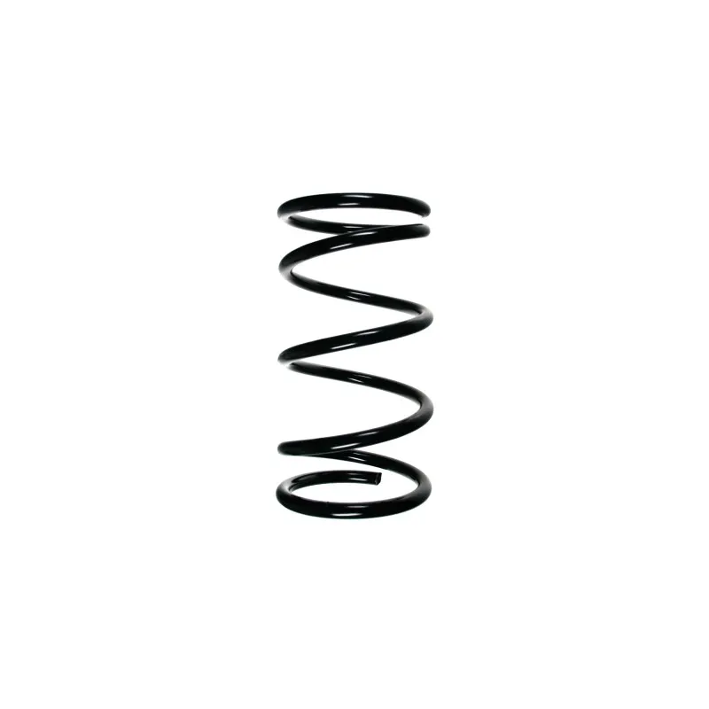 Ressort de suspension SPIDAN 55350