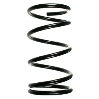 Ressort de suspension SPIDAN 55351