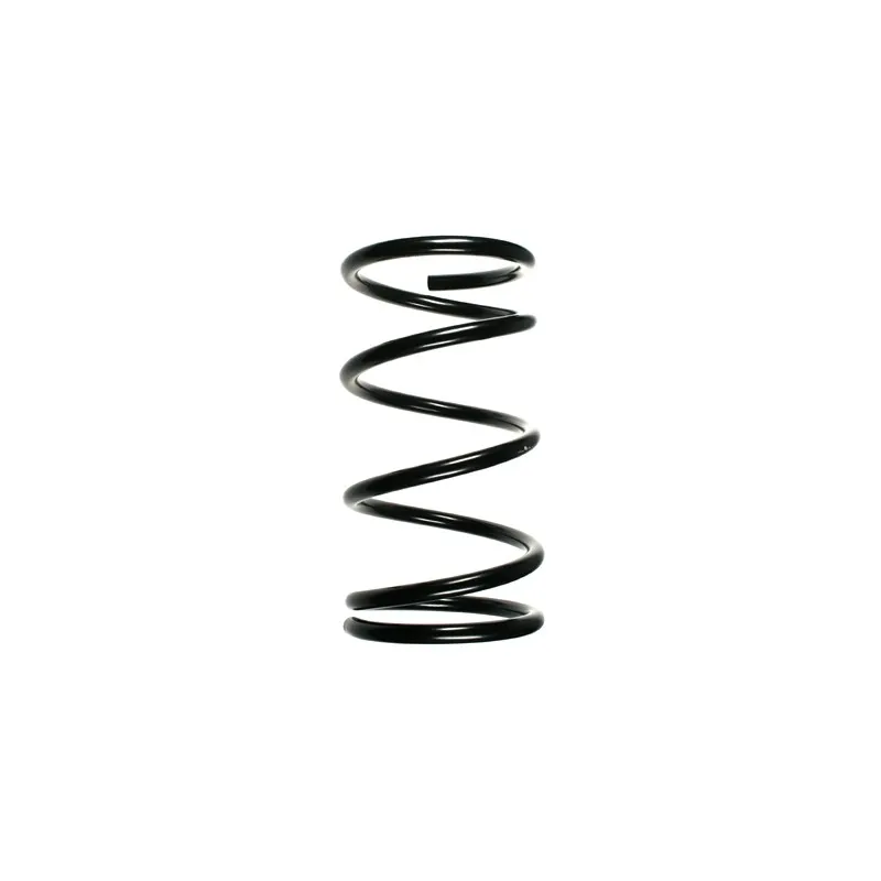 Ressort de suspension SPIDAN 55351