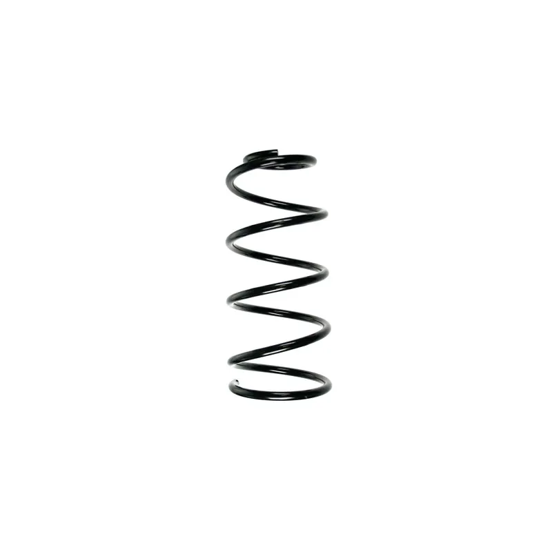 Ressort de suspension SPIDAN 55353