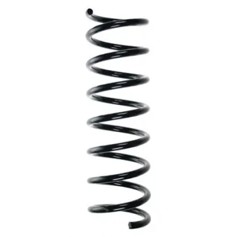 Ressort de suspension SPIDAN 55355