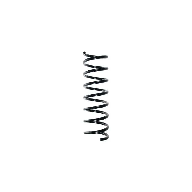 Ressort de suspension SPIDAN 55355