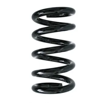 Ressort de suspension SPIDAN 55357