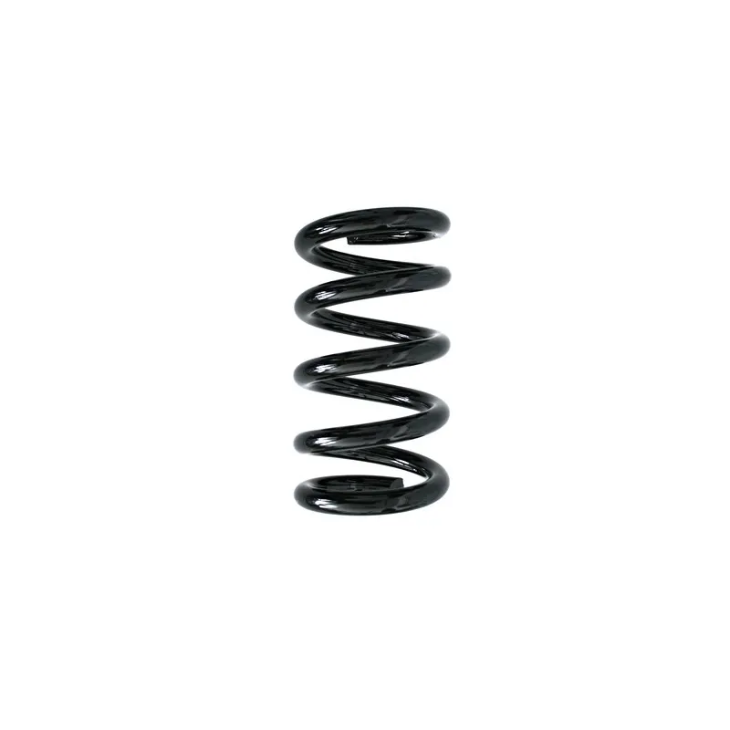 Ressort de suspension SPIDAN 55357