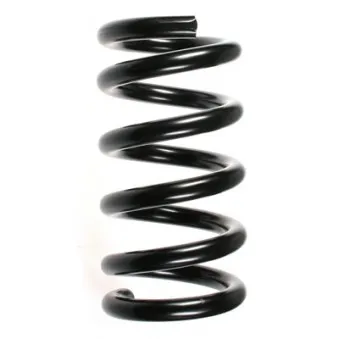 Ressort de suspension SPIDAN 55358