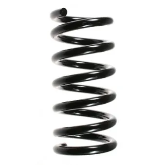 Ressort de suspension SPIDAN 55359