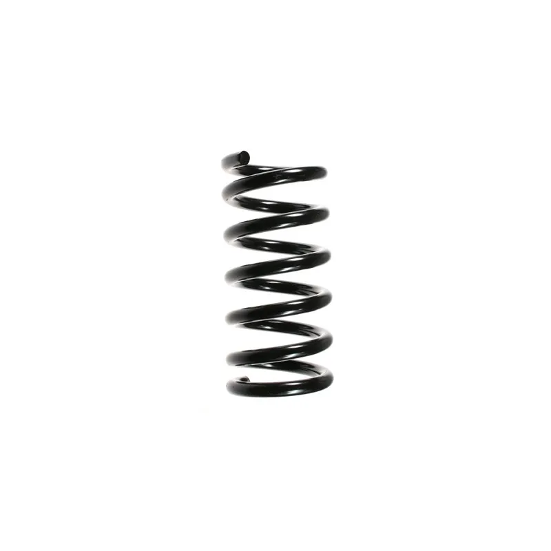 Ressort de suspension SPIDAN 55359