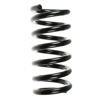 Ressort de suspension SPIDAN 55360