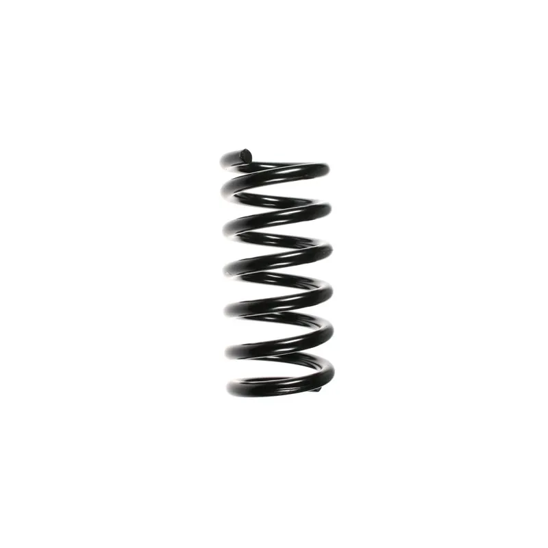 Ressort de suspension SPIDAN 55360