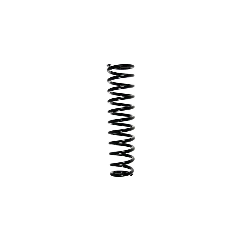 Ressort de suspension SPIDAN 55363