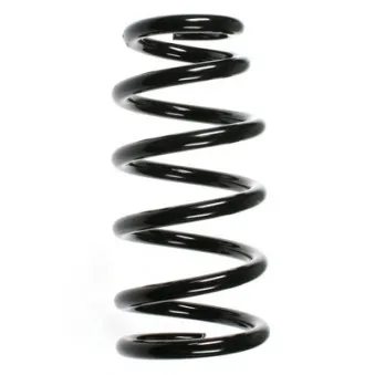 Ressort de suspension SPIDAN 55369
