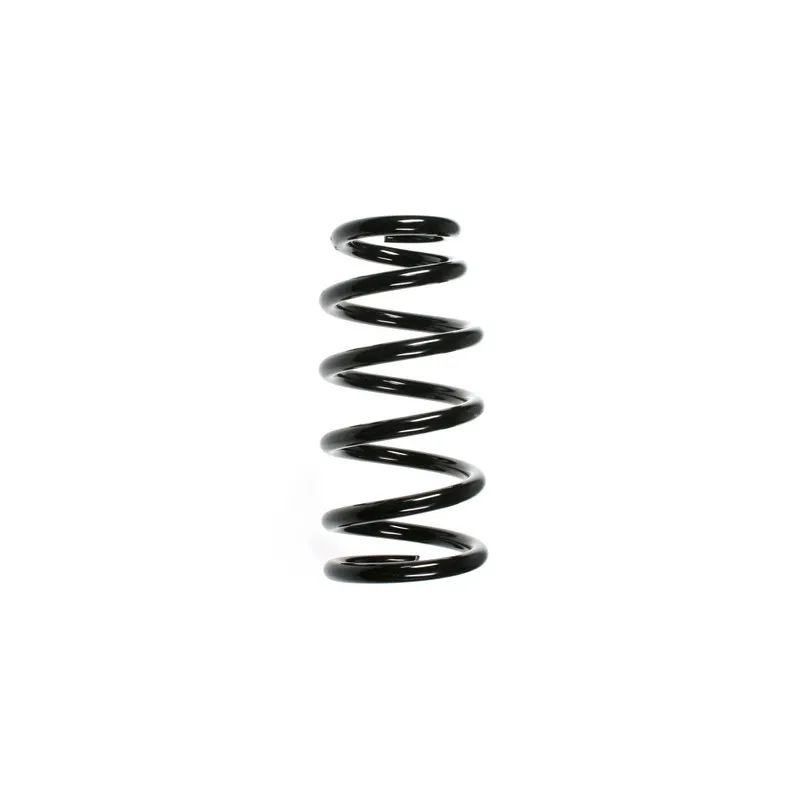 Ressort de suspension SPIDAN 55369