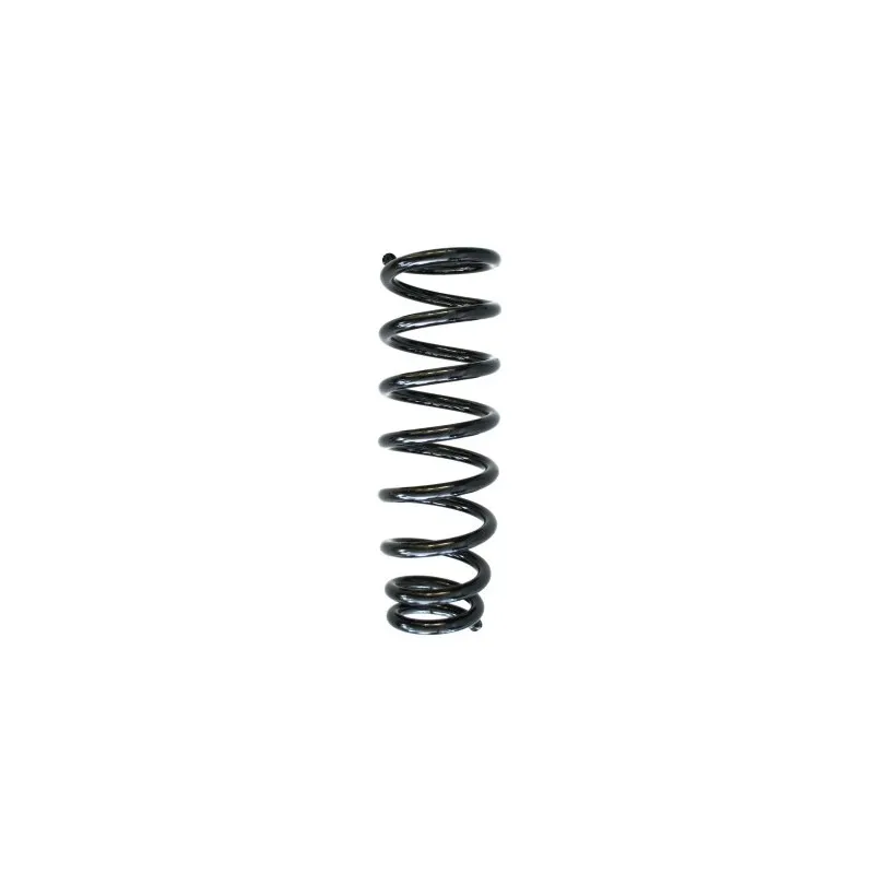 Ressort de suspension SPIDAN 55375
