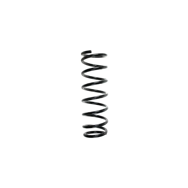 Ressort de suspension SPIDAN 55379