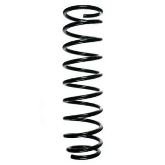Ressort de suspension SPIDAN 55381