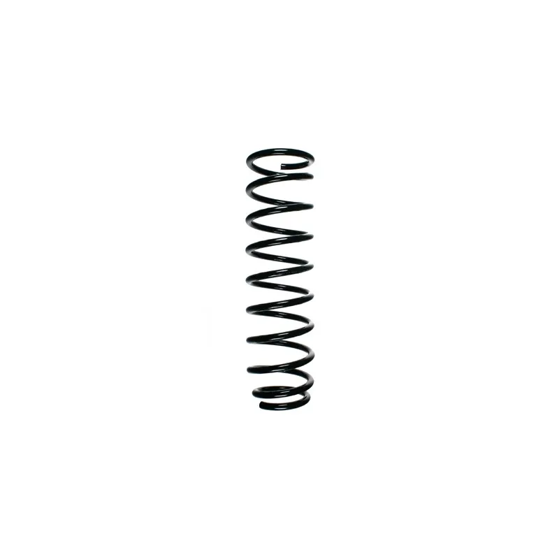 Ressort de suspension SPIDAN 55381