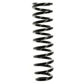 Ressort de suspension SPIDAN 55384