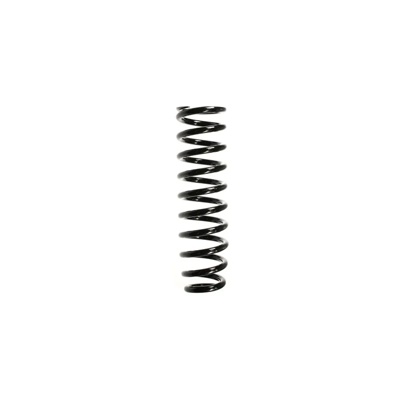Ressort de suspension SPIDAN 55384