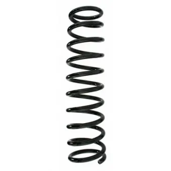 Ressort de suspension SPIDAN 55385