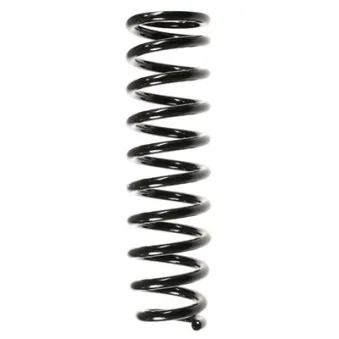 Ressort de suspension SPIDAN 55386
