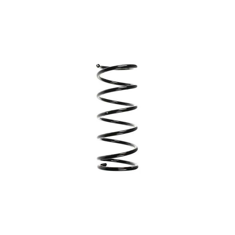 Ressort de suspension SPIDAN 55387