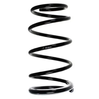 Ressort de suspension SPIDAN 55388