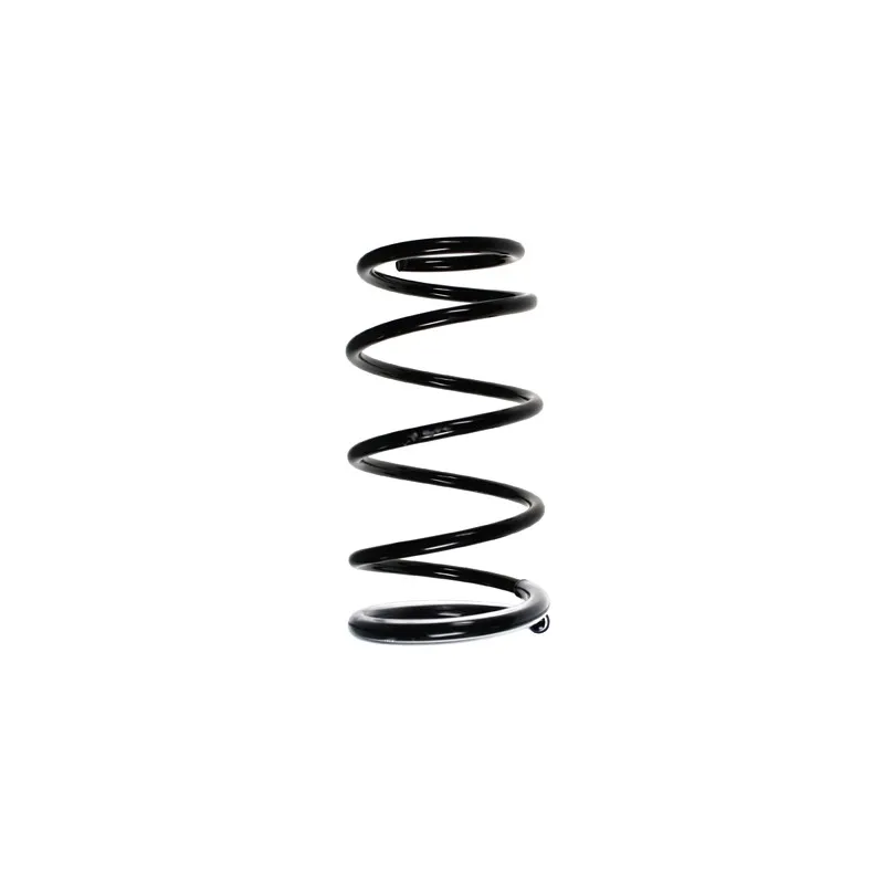 Ressort de suspension SPIDAN 55388