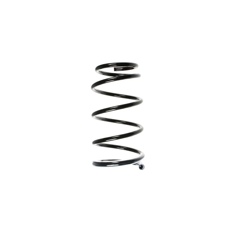 Ressort de suspension SPIDAN 55390