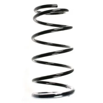 Ressort de suspension SPIDAN 55391