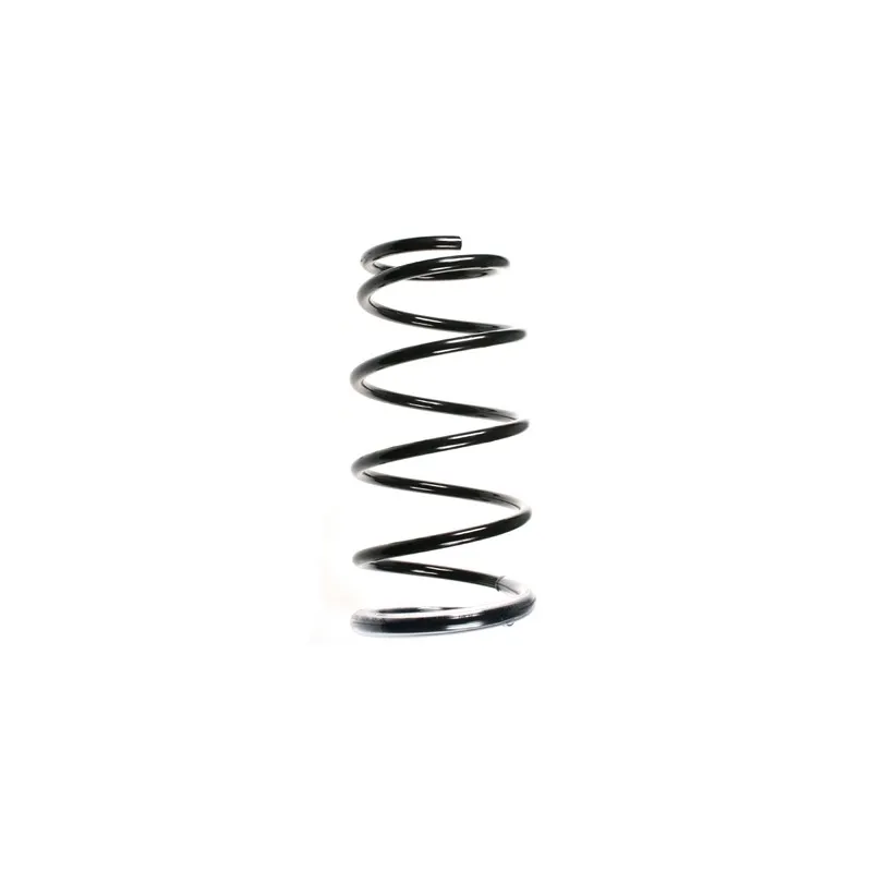 Ressort de suspension SPIDAN 55391