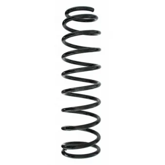Ressort de suspension SPIDAN 55451