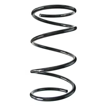 Ressort de suspension SPIDAN 55452