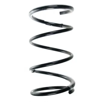 Ressort de suspension SPIDAN 55453