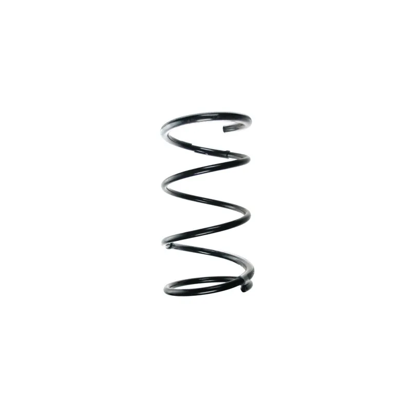 Ressort de suspension SPIDAN 55453
