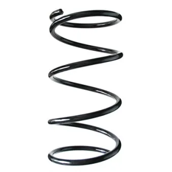 Ressort de suspension SPIDAN 55454