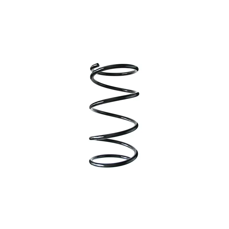 Ressort de suspension SPIDAN 55454