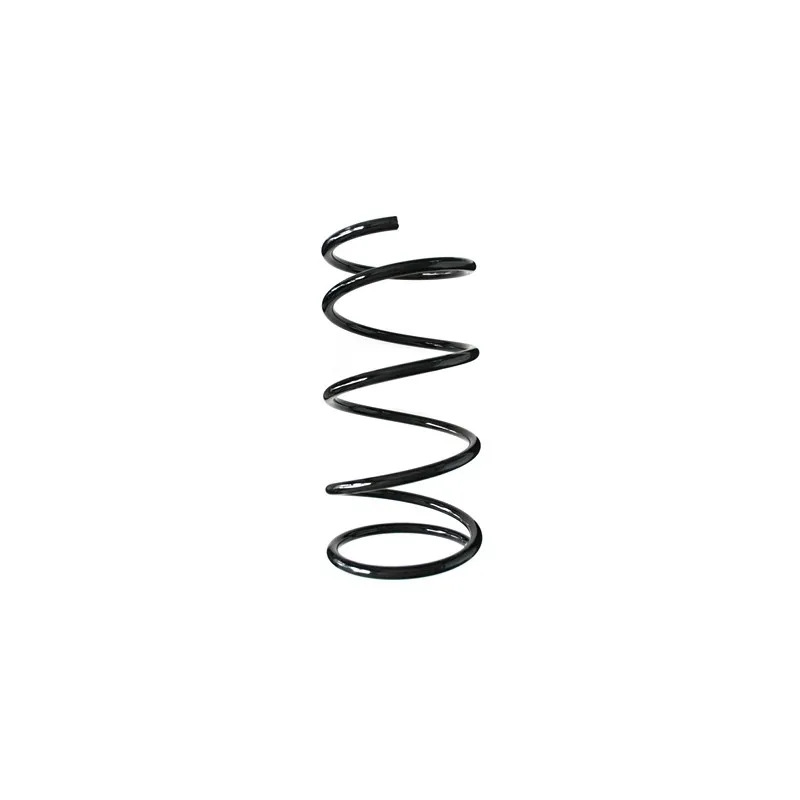 Ressort de suspension SPIDAN 55455