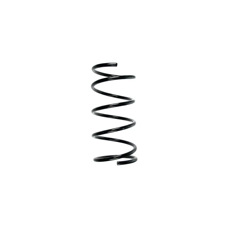 Ressort de suspension SPIDAN 55456