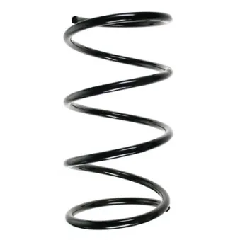 Ressort de suspension SPIDAN 55460