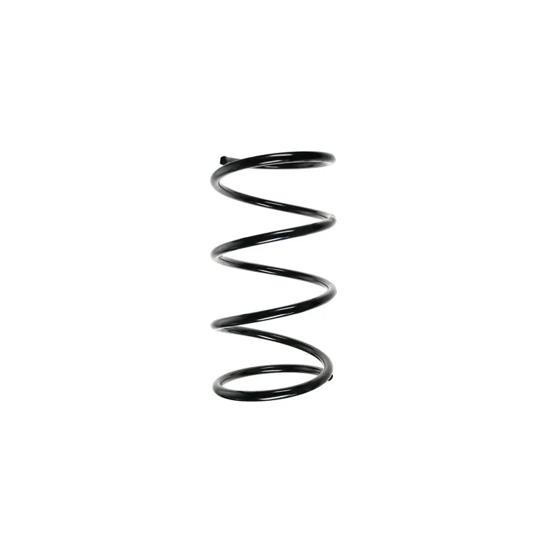 Ressort de suspension SPIDAN 55460